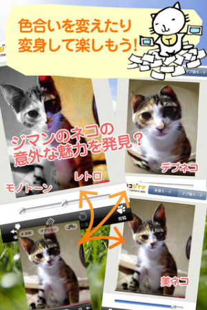 C4メディア、猫写真SNS「ネコジマン」対応のiOS向けカメラアプリ「ネコジマンカメラ」をリリース2