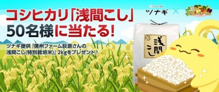 ソーシャル農園シミュレーションゲーム「ハッピーベジフル」、本物のコシヒカリが貰えるプレゼントキャンペーンを実施