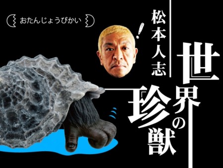 タカラトミーアーツ、AR対応のガチャシリーズ「松本人志 世界の珍獣 第1弾」を発売