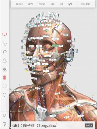 IMSS、高品質なiOS向け3Dバーチャル経絡経穴人形アプリ「3D ACUPOINT 」をリリース