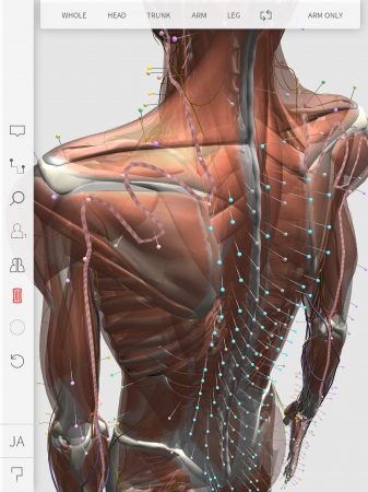 IMSS、高品質なiOS向け3Dバーチャル経絡経穴人形アプリ「3D ACUPOINT 」をリリース