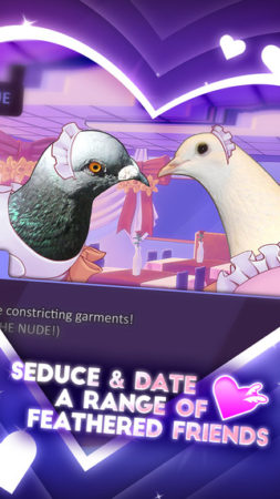 鳩を攻略する恋愛シミュレーションゲーム「はーとふる彼氏」のiOS版がリリース