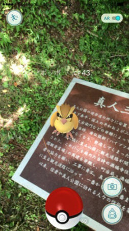 【特集コラム】ポケストップ数全国最下位の秋田県で、奇跡的に近所の公園がポケモン天国だった