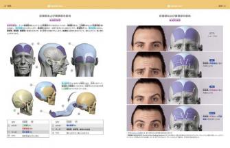 ボーンデジタル、「スカルプターのための美術解剖学 2 表情編」を8月に発売