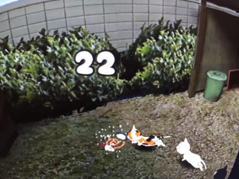 【TOKYO SANDBOX 2019レポート】ねこじゃらしを使って様々な猫を導こう！ VR猫ゲーム「ネコミン」